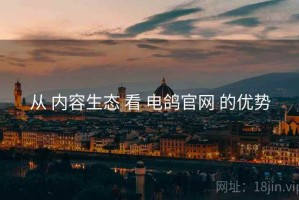 从 内容生态 看 电鸽官网 的优势