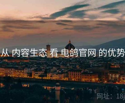 从 内容生态 看 电鸽官网 的优势