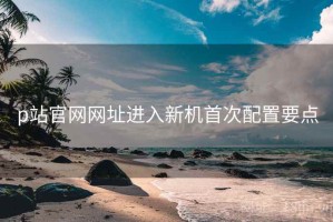 p站官网网址进入新机首次配置要点