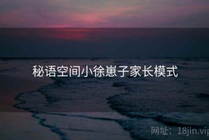 秘语空间小徐崽子家长模式