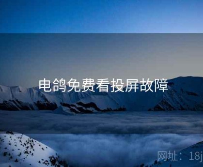 电鸽免费看投屏故障