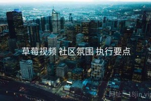 草莓视频 社区氛围 执行要点