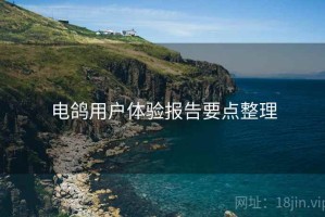 电鸽用户体验报告要点整理