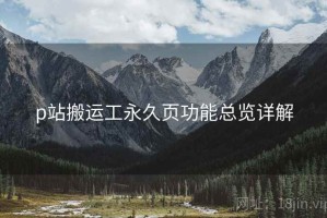 p站搬运工永久页功能总览详解