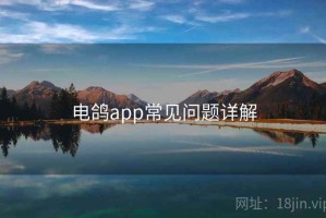 电鸽app常见问题详解