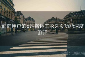 面向用户的p站搬运工永久页功能深度测评