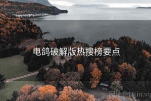 电鸽破解版热搜榜要点