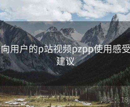 面向用户的p站视频pzpp使用感受与建议