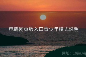 电鸽网页版入口青少年模式说明