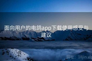 面向用户的电鸽app下载使用感受与建议
