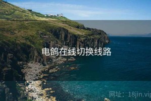 电鸽在线切换线路