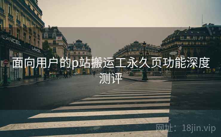 面向用户的p站搬运工永久页功能深度测评
