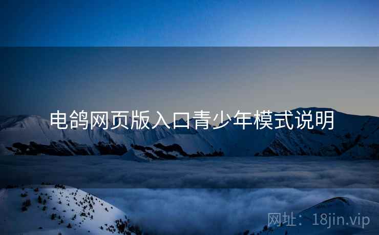 电鸽网页版入口青少年模式说明