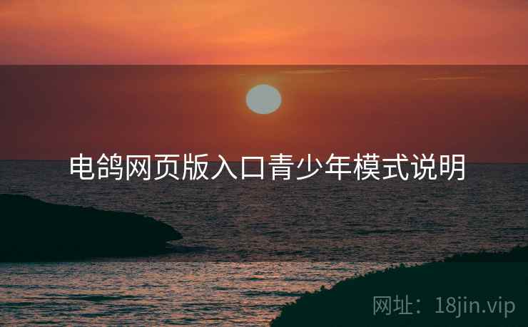 电鸽网页版入口青少年模式说明