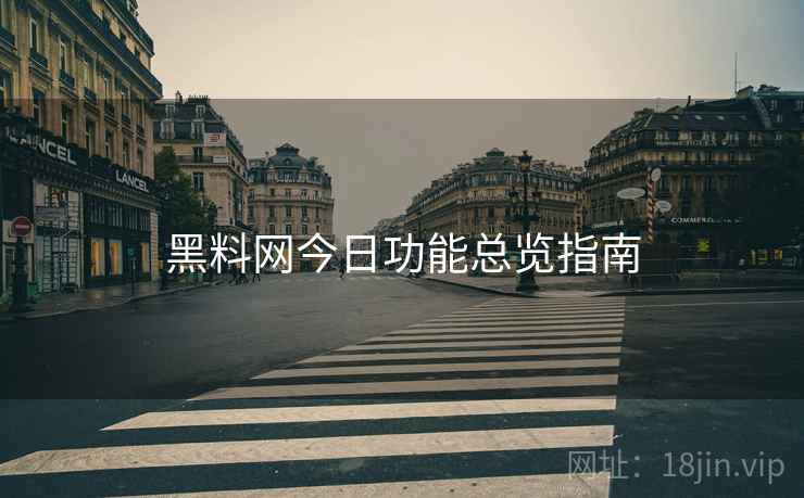 黑料网今日功能总览指南
