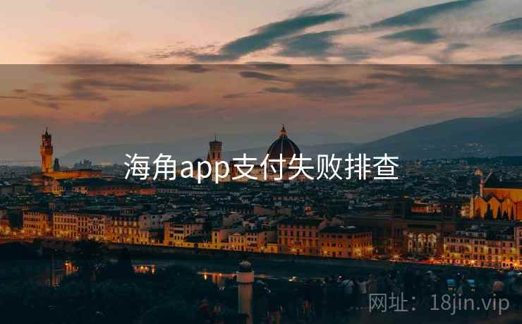 海角app支付失败排查