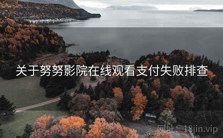 关于努努影院在线观看支付失败排查