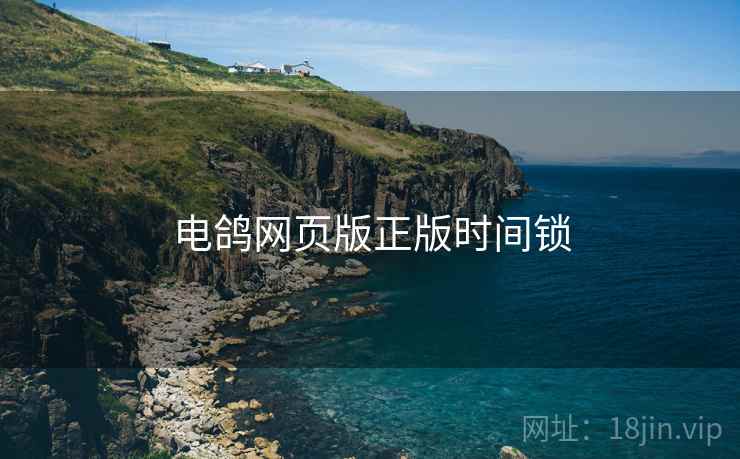 电鸽网页版正版时间锁