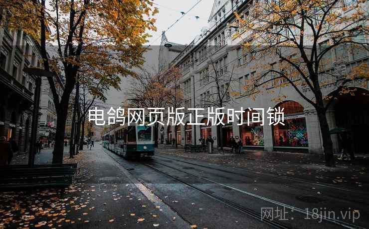 电鸽网页版正版时间锁