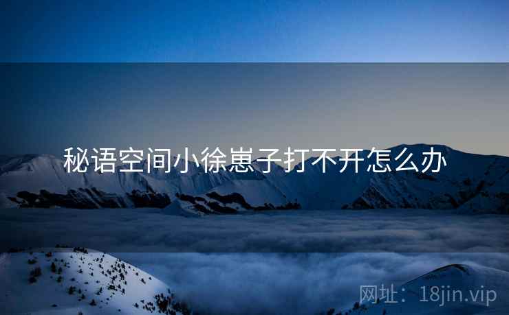 秘语空间小徐崽子打不开怎么办