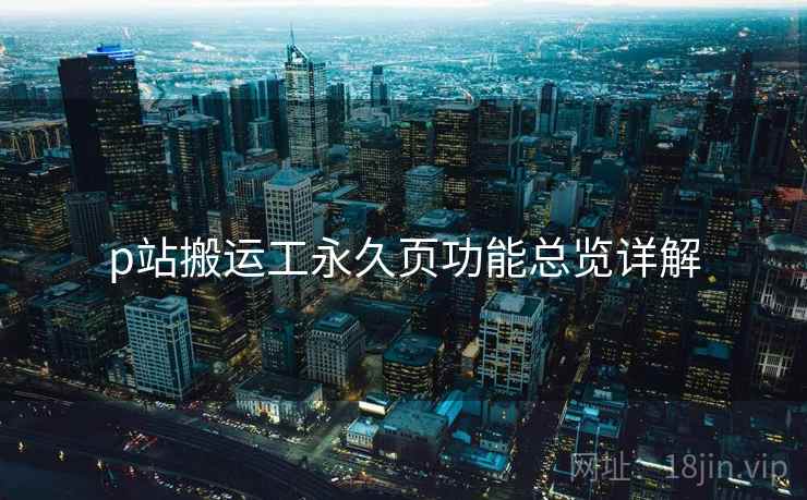 p站搬运工永久页功能总览详解