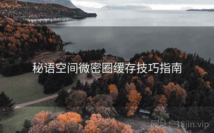 秘语空间微密圈缓存技巧指南