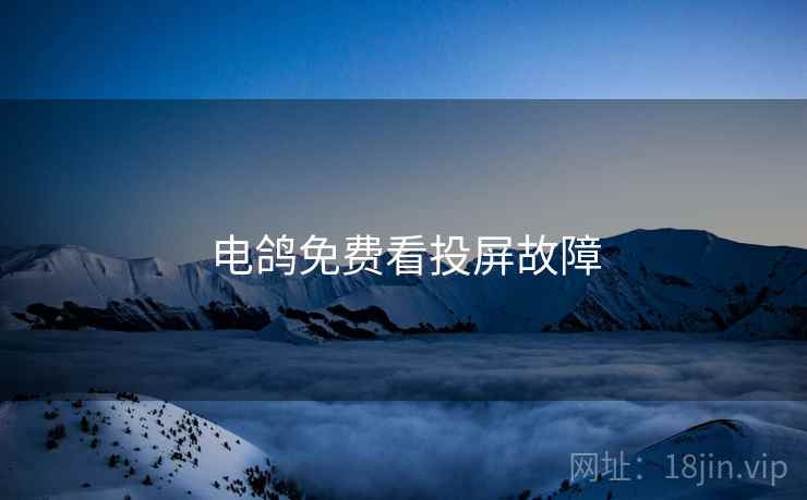 电鸽免费看投屏故障