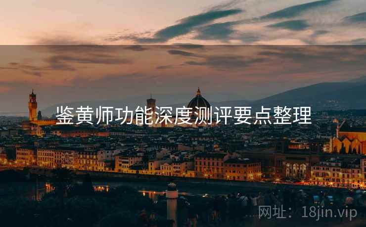 鉴黄师功能深度测评要点整理