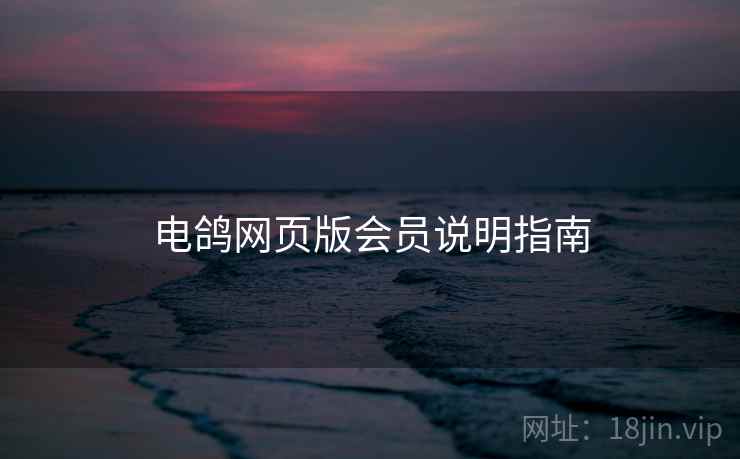 电鸽网页版会员说明指南