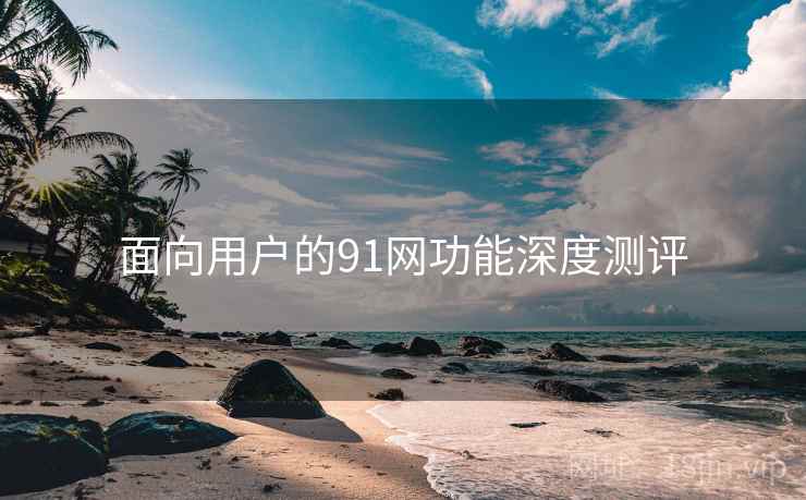 面向用户的91网功能深度测评
