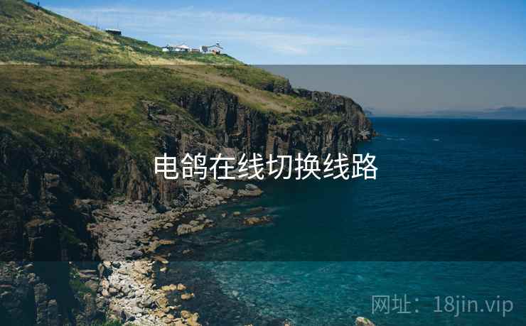 电鸽在线切换线路