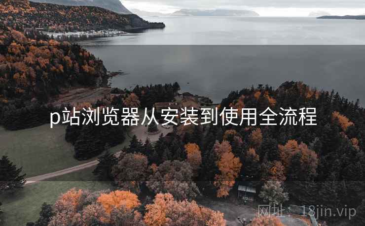 p站浏览器从安装到使用全流程