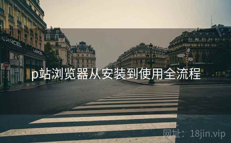 p站浏览器从安装到使用全流程