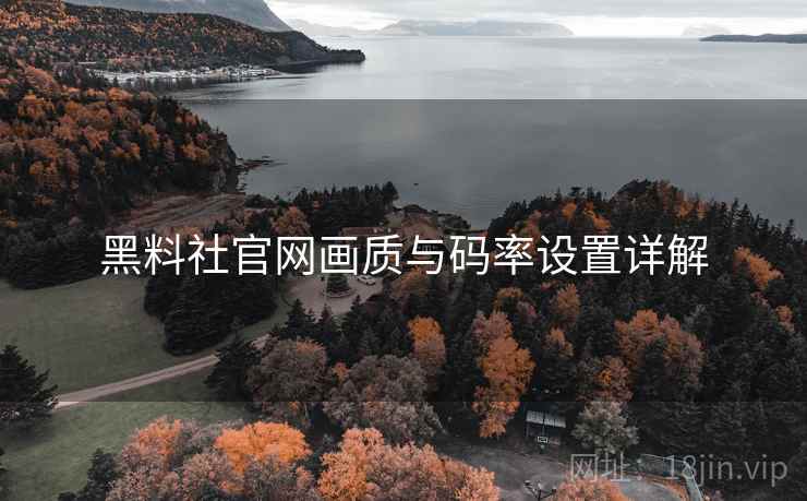 黑料社官网画质与码率设置详解