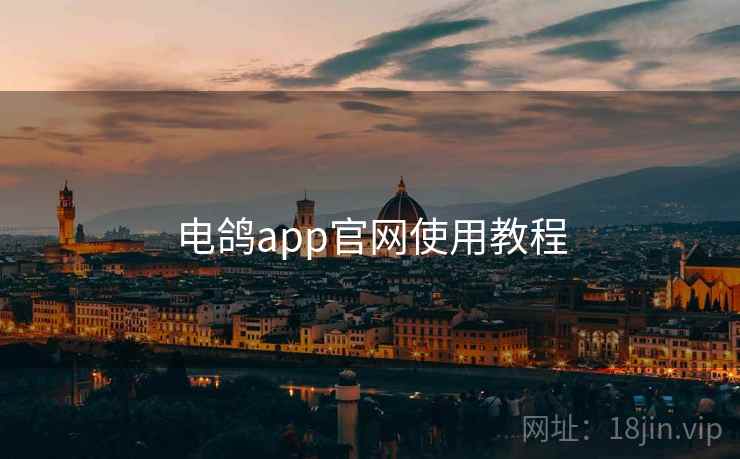 电鸽app官网使用教程