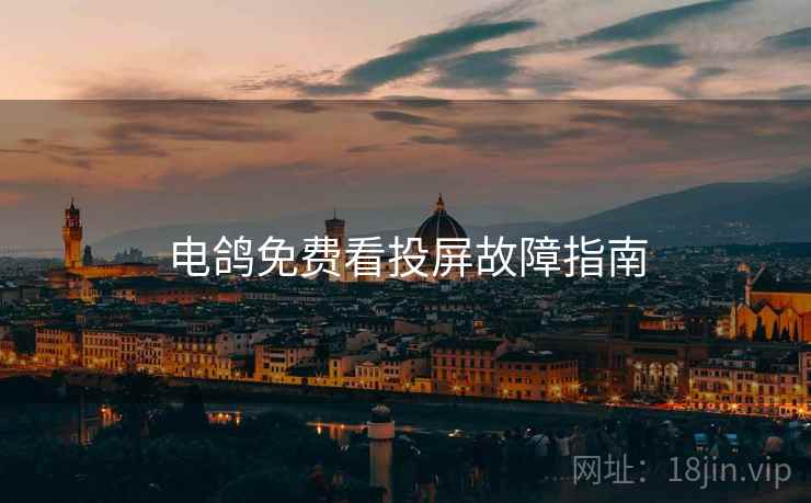 电鸽免费看投屏故障指南
