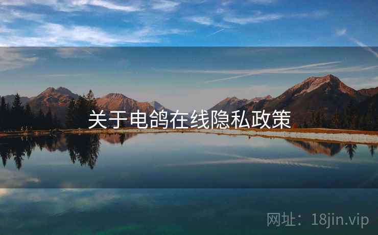 关于电鸽在线隐私政策