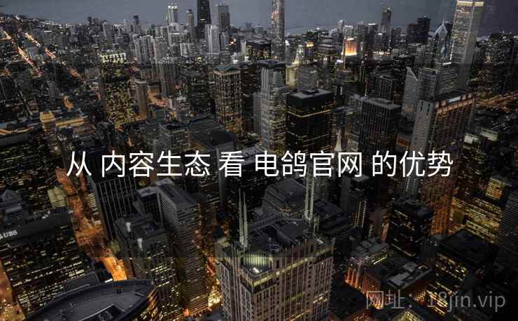 从 内容生态 看 电鸽官网 的优势