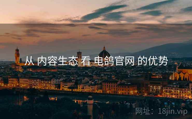 从 内容生态 看 电鸽官网 的优势
