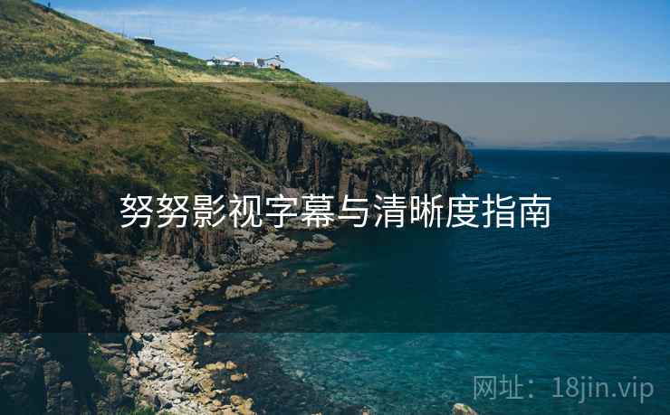 努努影视字幕与清晰度指南