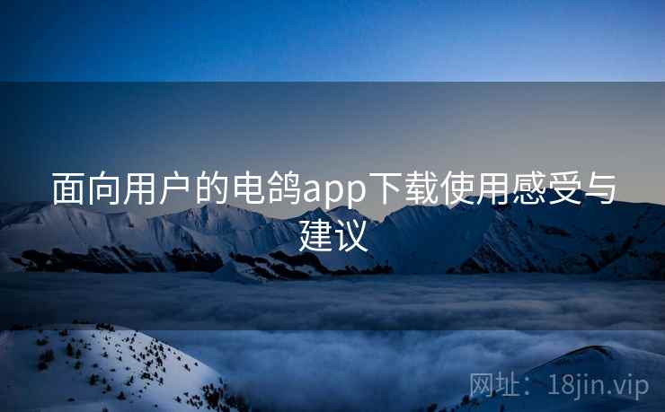 面向用户的电鸽app下载使用感受与建议